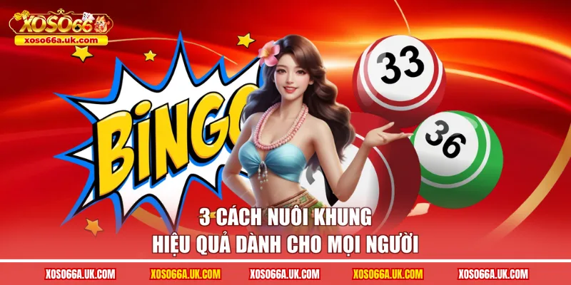3 cách nuôi khung hiệu quả dành cho mọi người