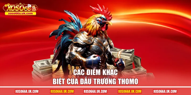 Các điểm khác biệt của đấu trường Thomo