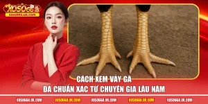 cách xem vảy gà