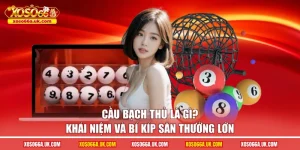 cầu bạch thủ