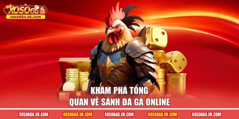 Khám phá tổng quan về sảnh đá gà online