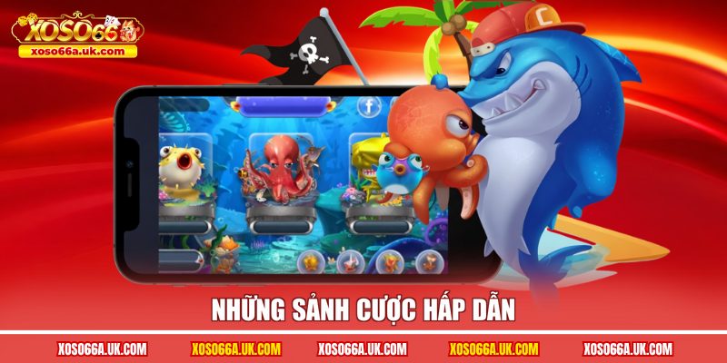 Những sảnh cược hấp dẫn