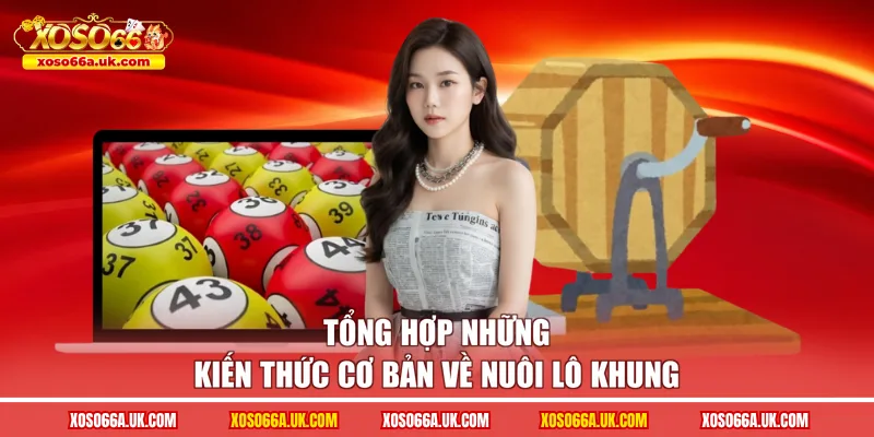 Tổng hợp những kiến thức cơ bản về nuôi lô khung