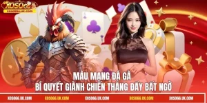 Màu Mạng Đá Gà - Bí Quyết Giành Chiến Thắng Đầy Bất Ngờ