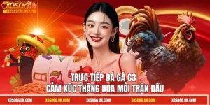Trực Tiếp Đá Gà C3 - Cảm Xúc Thăng Hoa Mỗi Trận Đấu